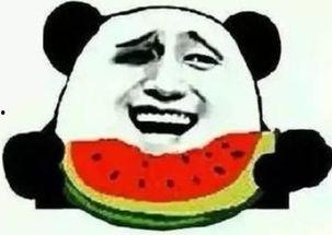 吃瓜群众的眼睛2145,吃瓜群众眼中的未来世界全景