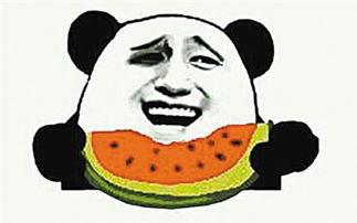 喜欢吃瓜群众的天使,揭秘那些热爱瓜子的甜蜜生活