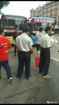 吃瓜群众的大型围观现场,揭秘大型围观背后的故事