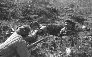 抗美援朝吃瓜群众视频,吃瓜群众的视角见证历史