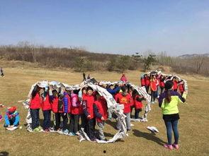 邹平吃瓜群众事件始末最新消息,真相追踪与舆论发酵全记录