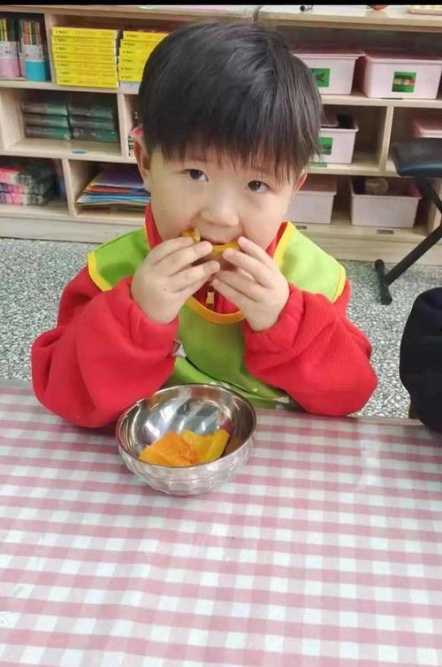 吃瓜群众幼儿园班本课程,探索自然与成长的奇妙之旅