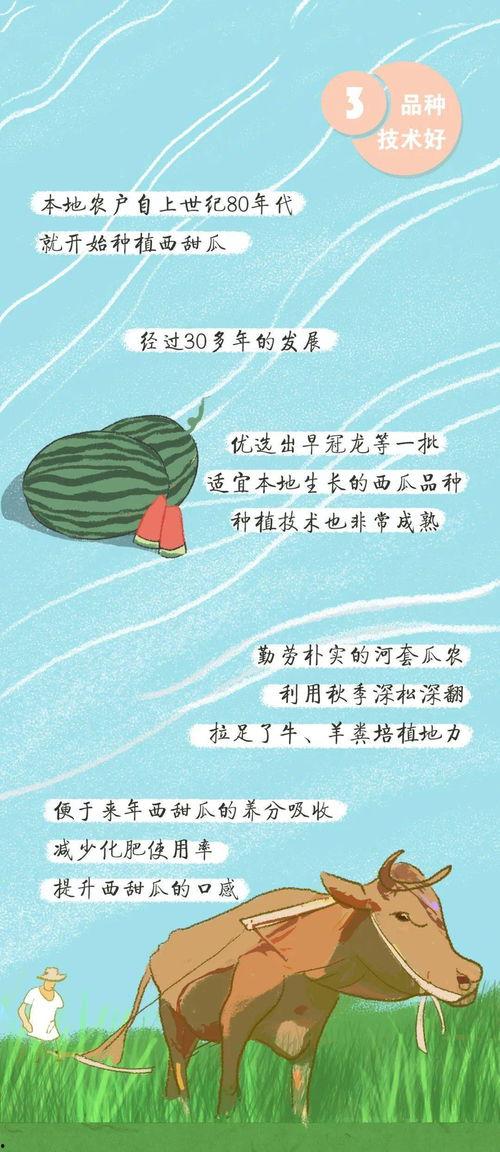 吃瓜群众就位完整版,揭秘娱乐圈幕后风云