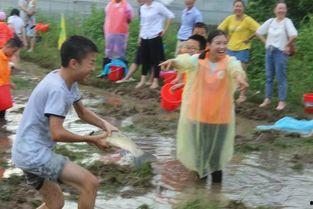 抓鱼吃瓜群众,揭秘网络时代的趣味众生相