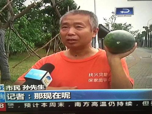 潮阳吃瓜群众事件,网络舆论的风暴与反思