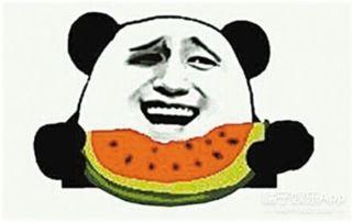 甘愿做吃瓜群众的事例,甘当吃瓜群众的日常趣事