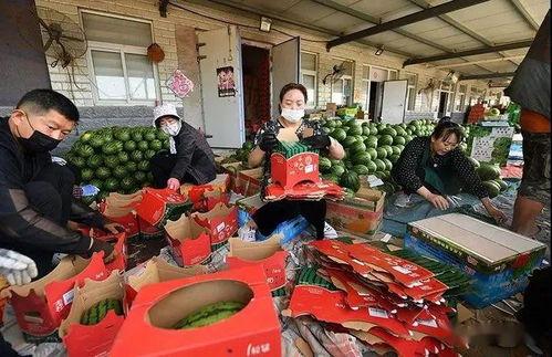 真人吃瓜群众图片,揭秘娱乐圈幕后风云