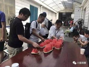 真人吃瓜群众图片,揭秘娱乐圈幕后风云