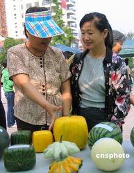 吃瓜群众的儿女们牛小丽,吃瓜群众儿女的青春故事