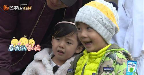 吃瓜群众老爸视频播放全集,揭秘视频播放全集背后的故事