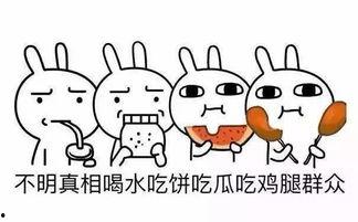 吃瓜群众不爱讲话,揭秘不爱讲话的真相