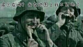 牛顿吃瓜群众是真的吗,揭秘科学巨匠的另类生活面