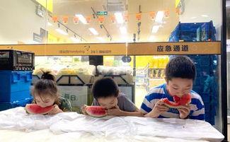 一群围观吃瓜群众完整版,一场全民参与的狂欢盛宴