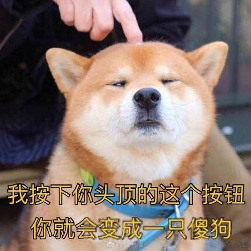 吃瓜群众抠图怎么办,应对“吃瓜群众抠图”现象的创意攻略