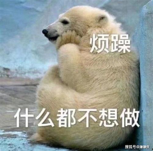 吃瓜群众图片好笑,笑料百出图鉴