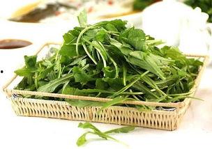 吃瓜群众挖野菜是真的吗,吃瓜群众挖野菜,真相究竟如何?