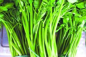 吃瓜群众挖野菜是真的吗,吃瓜群众挖野菜,真相究竟如何?