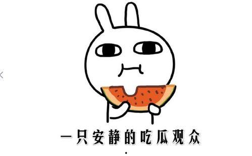 吃瓜群众吃瓜有哪些方式,畅享夏日清凉时光