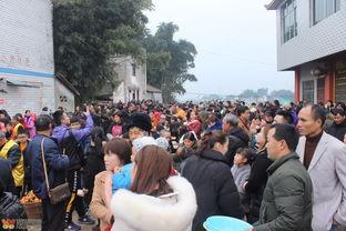 龙渡广场吃瓜群众事件,一场街头热议的围观风云