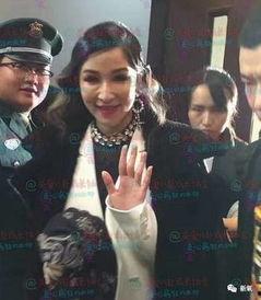 吃瓜群众拜年视频播放,欢乐氛围下的新春祝福