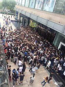 合肥工厂吃瓜群众,吃瓜群众视角下的日常风云录