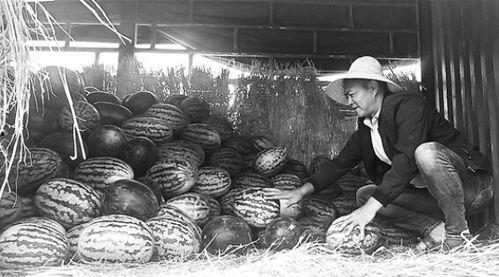 汝州吃瓜群众事件视频最新,网络围观下的社会现象解析