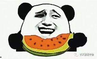 吃瓜群众哇偶,揭秘娱乐圈那些事儿