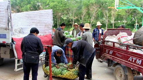 垦利县吃瓜群众事件真相,揭开真相背后的真相